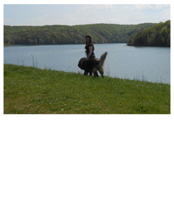 borovik