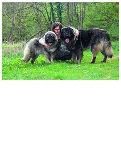 izvor-i-spilja