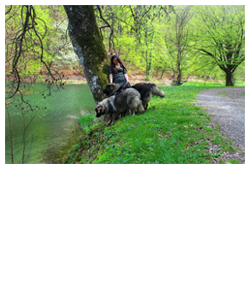 jankovacka-jezera
