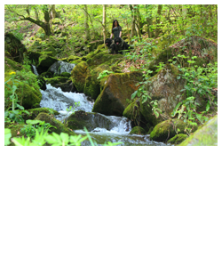 park-prirode-papuk